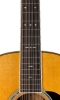 Neck